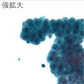 検体4