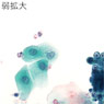 検体6